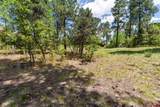 47 Needle Creek Court - Photo 9
