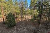 47 Ambush Canyon - Photo 12