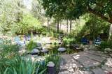 846 County Road 207 - Photo 41