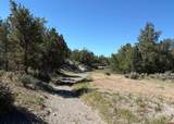 333 Cow Canyon Road - Photo 20
