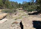 333 Cow Canyon Road - Photo 21