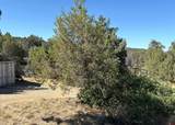 333 Cow Canyon Road - Photo 28