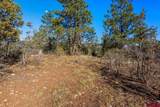 557 Glacier Cliff Drive - Photo 33