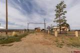 4311 County Road 134 - Photo 1