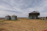 4311 County Road 134 - Photo 13
