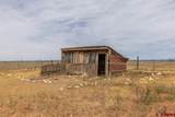 4311 County Road 134 - Photo 16