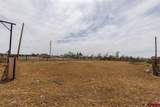 4311 County Road 134 - Photo 17
