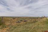 4311 County Road 134 - Photo 18