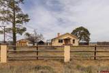 4311 County Road 134 - Photo 3