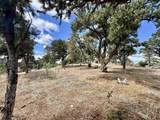 7436 Waligunda Street - Photo 39