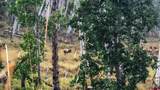 8325 County Road M44 - Photo 19