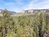 1950 Lake Purgatory Drive - Photo 15