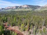 1950 Lake Purgatory Drive - Photo 20