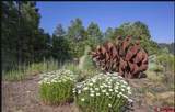 72 Cabin Creek Drive - Photo 10