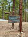 72 Cabin Creek Drive - Photo 12