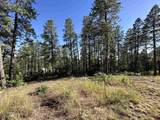 72 Cabin Creek Drive - Photo 5