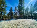 72 Cabin Creek Drive - Photo 7