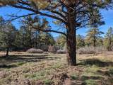 472 Haystack Circle - Photo 33