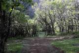 TBD Ms Road - Photo 7