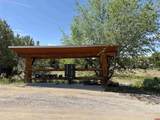 1366 Wrangler Way - Photo 6