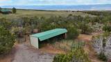 37957 Fruitland Mesa Road - Photo 41