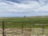 346 County Road 321 - Photo 2