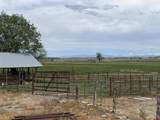 346 County Road 321 - Photo 5
