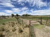 346 County Road 321 - Photo 6