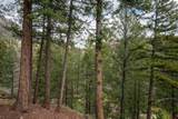 961 Tamarron Drive - Photo 18