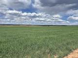 TBD Road 15 - Photo 8