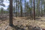 140 Cabin Creek Drive - Photo 13