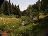 TBD Transfer Road - Photo 1