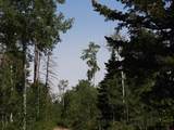TBD Transfer Road - Photo 11