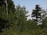 TBD Transfer Road - Photo 12