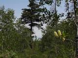 TBD Transfer Road - Photo 16