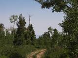 TBD Transfer Road - Photo 19