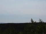 TBD Transfer Road - Photo 2