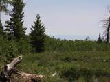 TBD Transfer Road - Photo 21