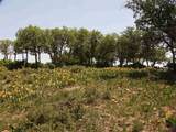 TBD Transfer Road - Photo 25