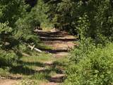 TBD Transfer Road - Photo 29