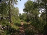 TBD Transfer Road - Photo 4