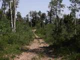 TBD Transfer Road - Photo 7
