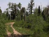 TBD Transfer Road - Photo 9