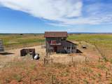 4122 County Road 129 - Photo 35
