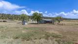 175 Rustic Road - Photo 3