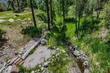 341 Painter Ranch Trail - Photo 5