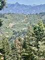 000 Us 84 Highway - Photo 10