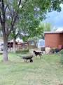 160 Linda Lane - Photo 14