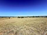 160 Linda Lane - Photo 5