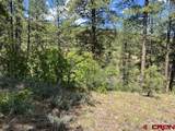 250 Copper Rim Trail - Photo 11